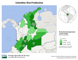 images\CO\cropprod\Colombia_Rice_preview.jpg